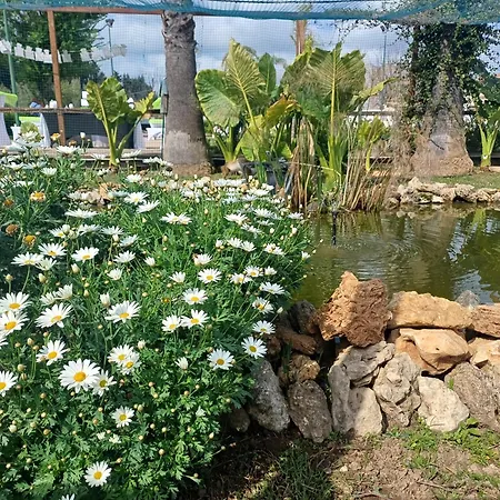 Case Barolo * Syrakus