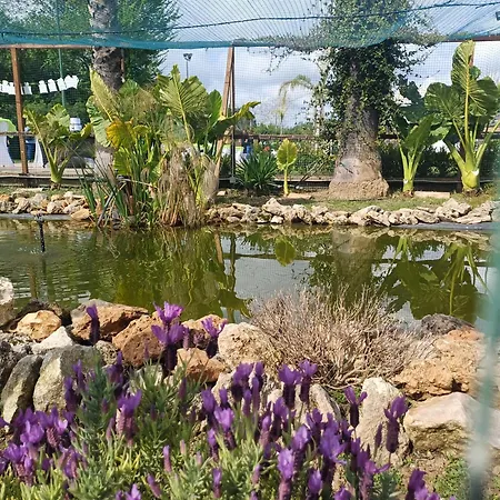 Case Barolo Ferienhaus